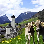Moosbrugger Au (Vorarlberg)