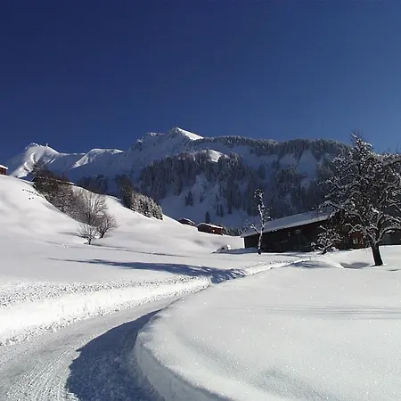 Moosbrugger * Au (Vorarlberg)