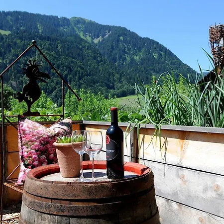 Apartment Moosbrugger Au (Bregenz)