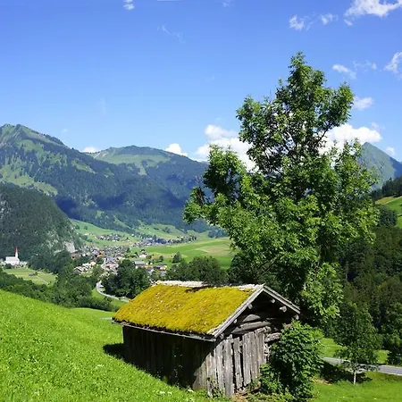 Moosbrugger Au (Bregenz)