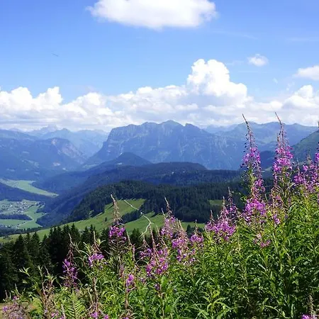 Moosbrugger Apartment Au (Bregenz)