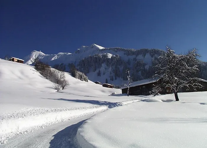 Moosbrugger * Au (Bregenz)