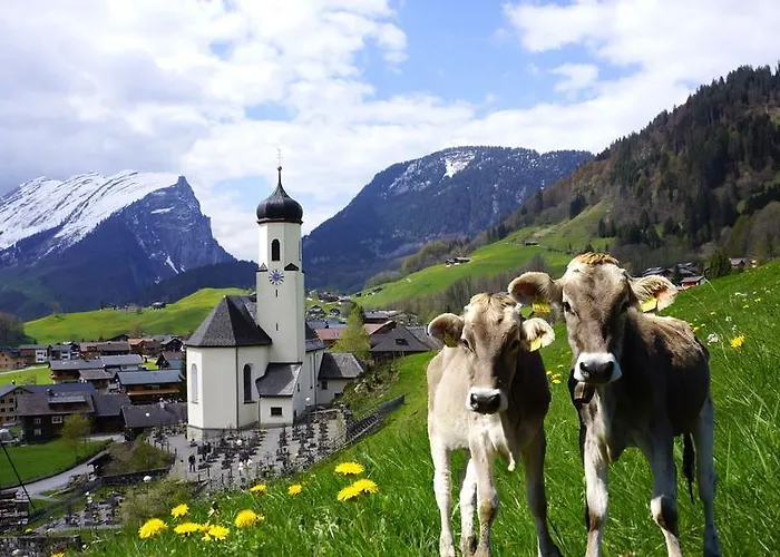 Moosbrugger Au (Bregenz)