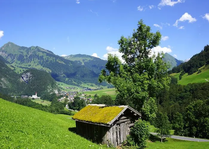 Moosbrugger Au (Bregenz)