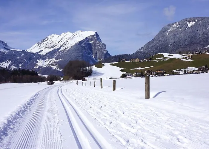 Apartment Moosbrugger